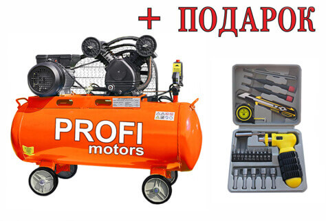 Компрессор воздушный profi 110-2 220в