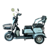 Электрический трицикл SHTENLI Model 31 SLA 20Ач48В