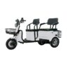 Электрический трицикл SHTENLI Model 37 SLA 20Ач60В